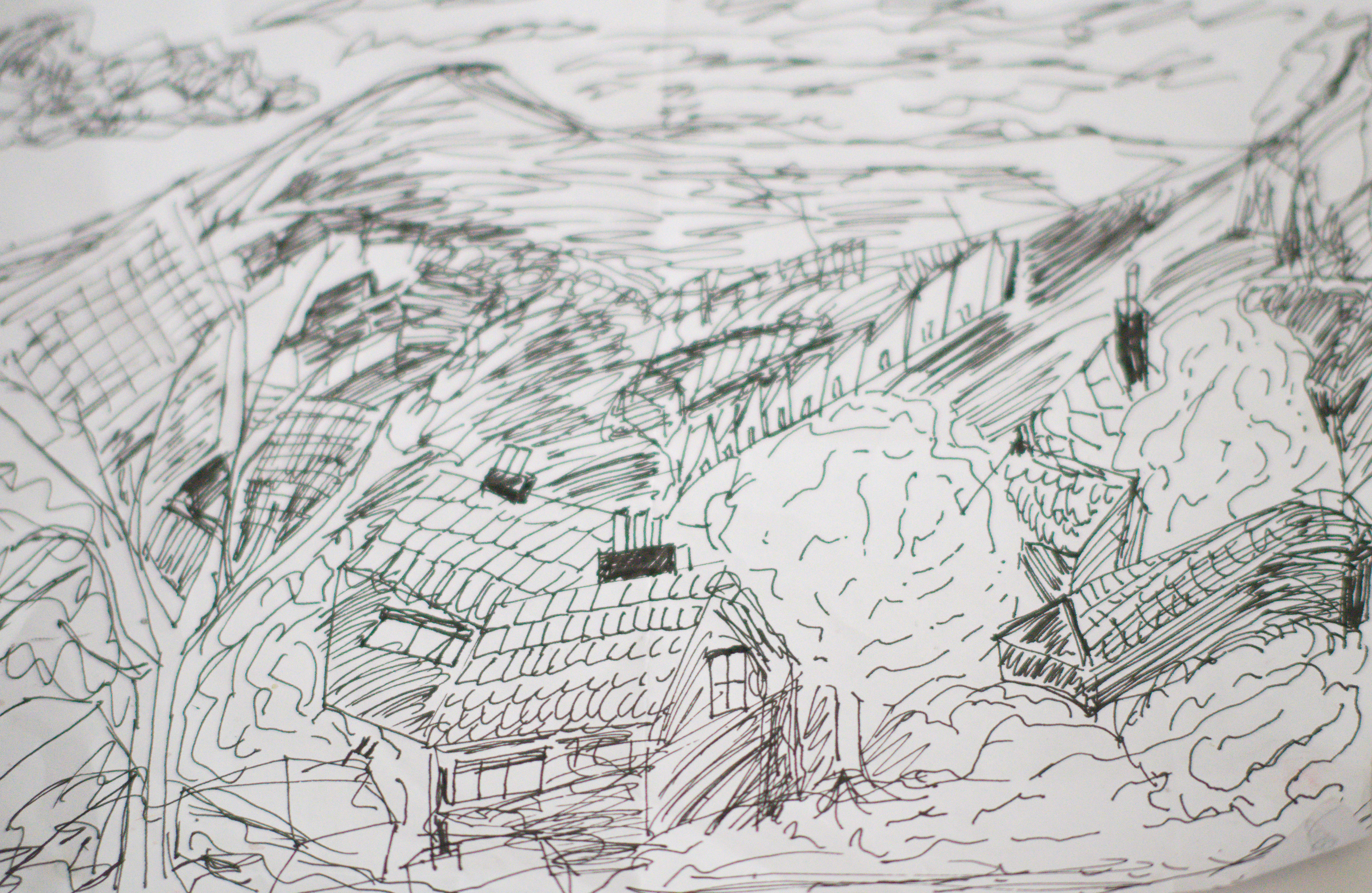 pen and ink drawing using .50mm tech pen